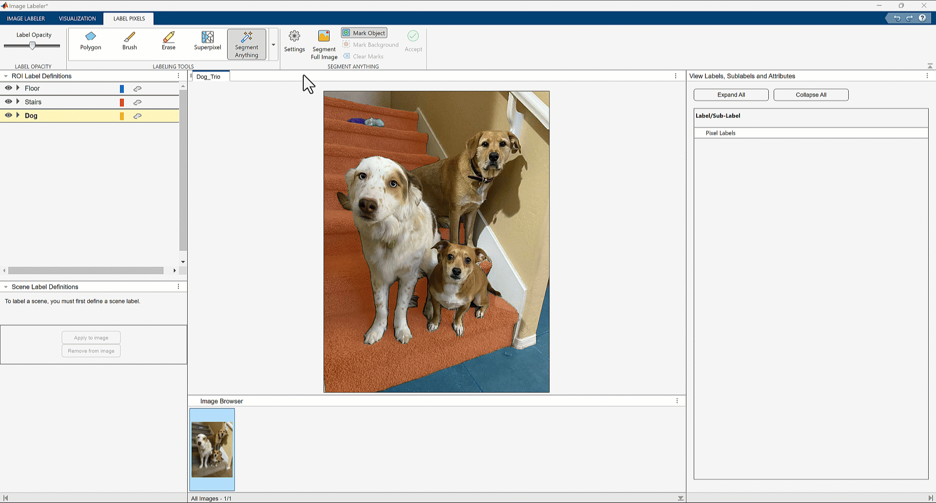 Screenshot animation of a portion of the Image Labeler app showing three dogs sitting on house steps. The animation shows the pointer clicking on a different areas of the image where each selection segments the object it relates to.